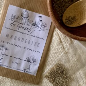 Graines de Marguerite sauvage – Leucanthemum vulgare