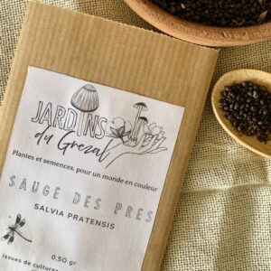 Graines de Sauge des prés – Salvia pratensis